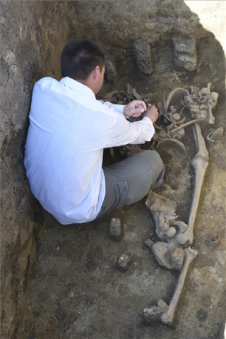 Egy germán harcos sírját találták meg a régészek Hódmezővásárhely közelében