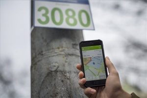Intelligens megoldással egyszerűsíti a mobil parkolást a Nemzeti Mobilfizetési Zrt.