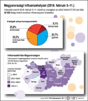 Magyarországi influenzahelyzet (2018. február 5-11.)