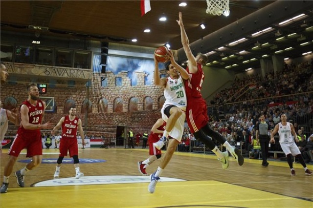 Férfi kosárlabda vb-selejtező - Magyarország - Lengyelország