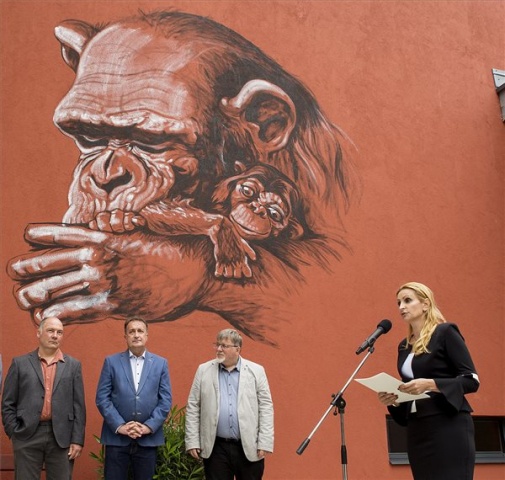 Modern városok - Átadták a győri Xantus János Állatkert új csimpánzházát és kifutóját