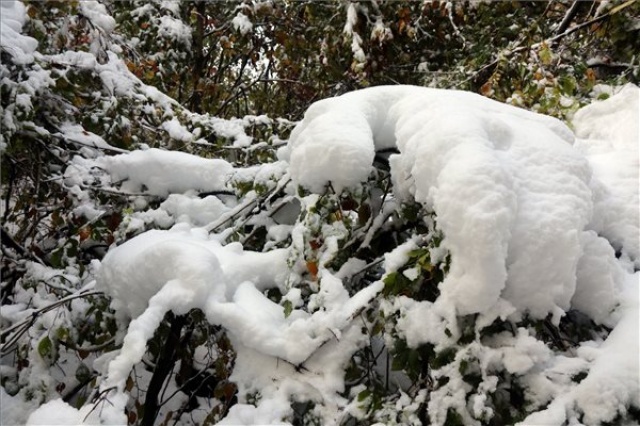 Több mint tíz centiméternyi hó hullott a Bükkben