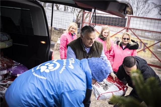Orbán Viktor az ürömi állatotthonba látogatott