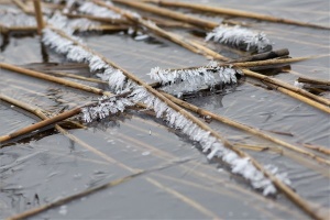 Tél a nagykanizsai Csónakázó-tavon