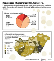 Magyarországi influenzahelyzet (2023. február 6-12.)