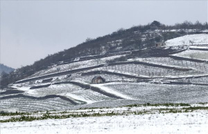 Havazás Borsod-Abaúj-Zemplén vármegyében 