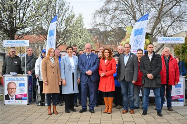 Voks 24 - Bemutatták öt ellenzéki párt közös polgármesterjelöltjét Budafok-Tétényben