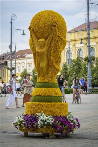 Vb-2014 - Virágból készült kupával tiszteleg Debrecen
