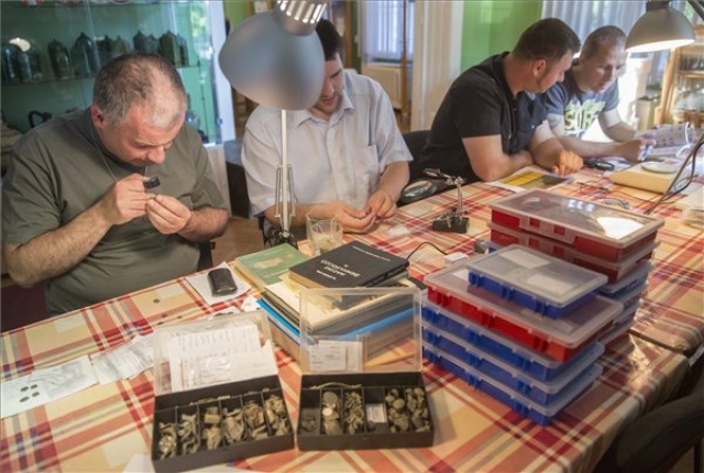 Tizenkétezer lelettel gazdagodott egy év alatt az orosházi múzeum