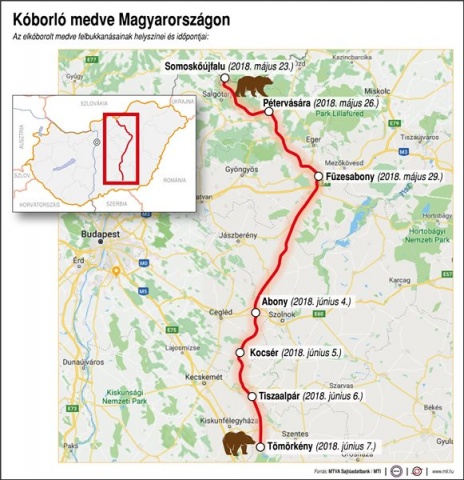 Medve Sándorfalván