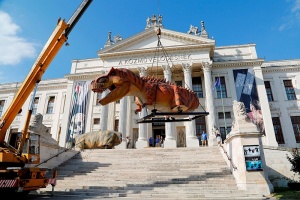 T-Rex Szegeden