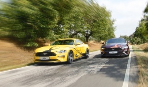 Ford Mustang GT 2018 Wolf Racing