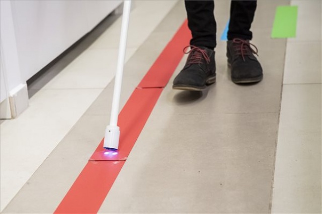 Kihirdették a tudományos-innovációs ifjúsági tehetségkutató eredményét