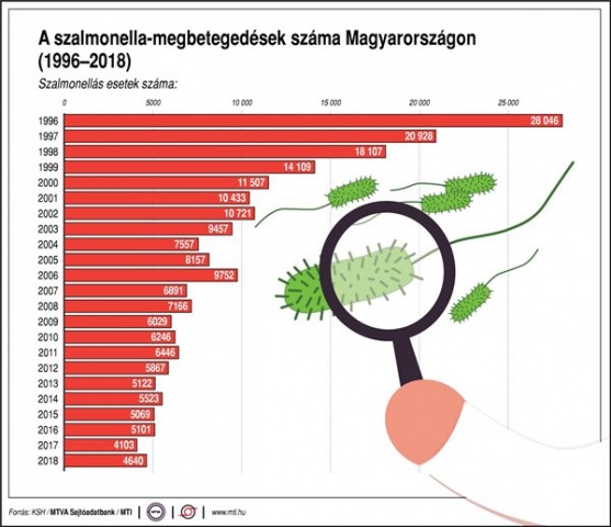 Szalmonellafertőzés okozta gyerekek tömeges megbetegedését Hajdúsámsonban 