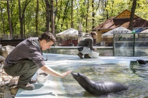 Koronavírus - Örökbefogadókat keres a Szegedi Vadaspark