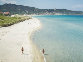 Sarti