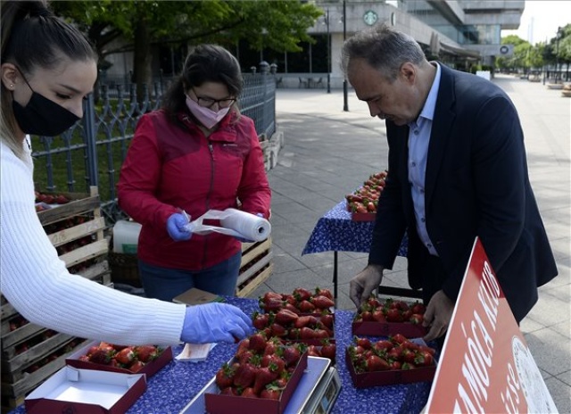 A hazai földiepret népszerűsítették a Dunakorzón 