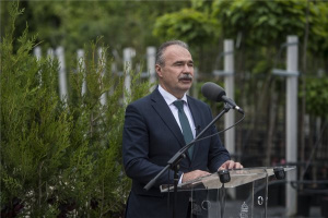 Településfásítási programot hirdet az Agrárminisztérium