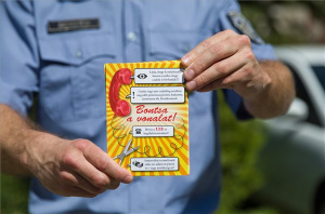 Kampány indul az úgynevezett unokázós csalások kivédésére Pest megyében