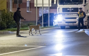 Illegális bevándorlás - Öngyilkos lett egy felfegyverkezett embercsempész Vitnyédnél
