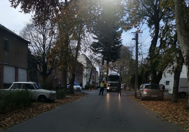 Szeged karácsonyfája 2020