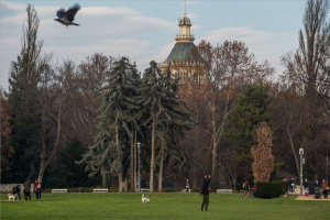 Napsütés Budapesten 