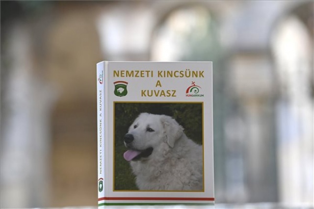 Megjelent a Nemzeti kincsünk a kuvasz című könyv