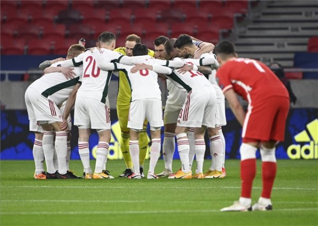 Labdarúgás - Európai vb-selejtező - Magyarország-Lengyelország