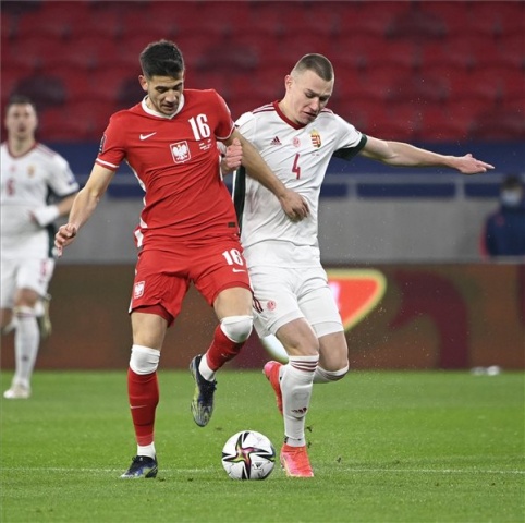 Labdarúgás - Európai vb-selejtező - Magyarország-Lengyelország