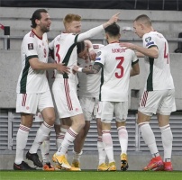 Labdarúgás - Európai vb-selejtező - Magyarország-Lengyelország