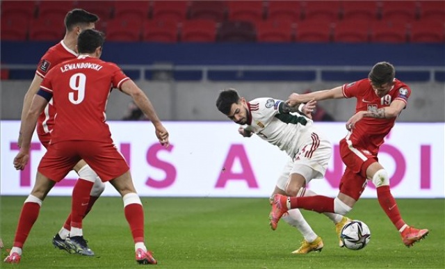 Labdarúgás - Európai vb-selejtező - Magyarország-Lengyelország