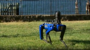 Digidog