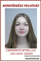 Cseppentő Réka