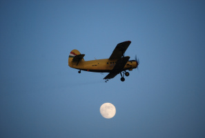 AN-2 szúnyogírtás