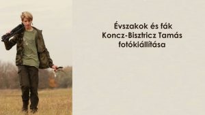 Évszakok és fák – Koncz-Bisztricz Tamás fotókiállítása