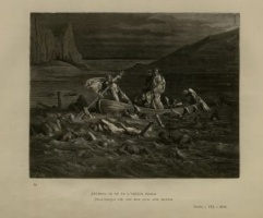 Dante 700