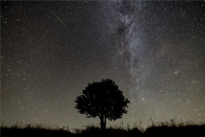 A Perseidák meteorraj 