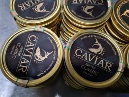 Kaviár