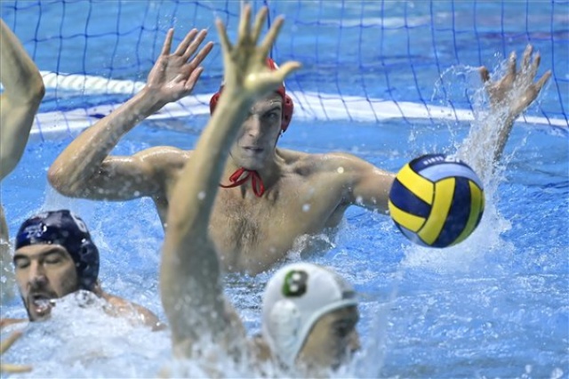 Férfi vízilabda BL - FTC-Telekom Waterpolo-Novi Beograd