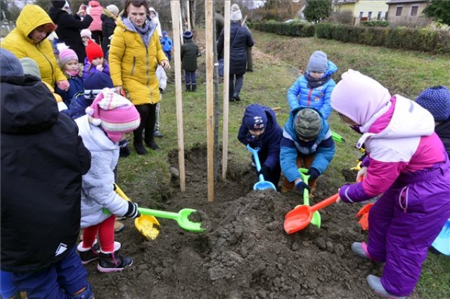 A települések még egy évig pályázhatnak erdőtelepítésre