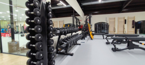 Cédrus Prémium Fitness