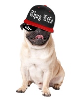 Kutya Thug life
