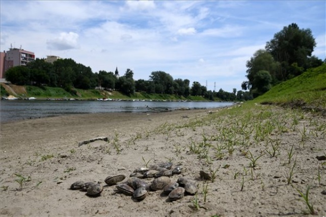 Nagyon alacsony a Tisza vízállása