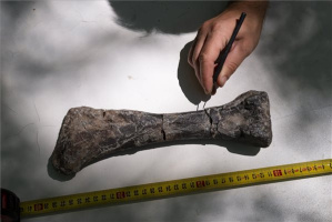 Nyílt napok az iharkúti dinoszaurusz-lelőhelyen
