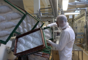 60 éves a Nestlé diósgyőri csokoládégyára