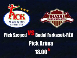 Pick Szeged - Budai Farkasok beharangozó