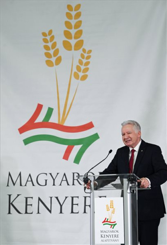 Ezer tonna búza gyűlt össze a Magyarok kenyere programban