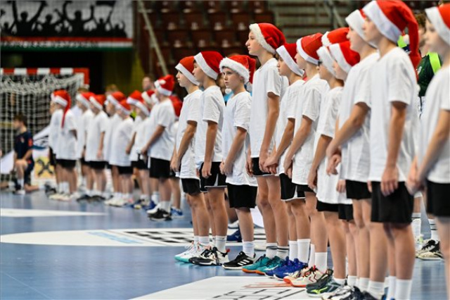Férfi kézilabda Európa-liga - Fejér B.Á.L.-Veszprém - Tatran Presov