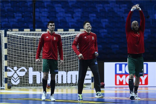 Férfi kézilabda-vb - Magyarország - Dánia 