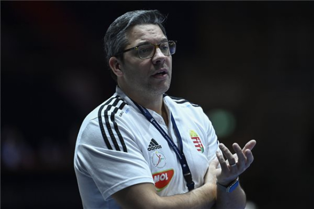 Férfi kézilabda-vb - Magyarország - Dánia 